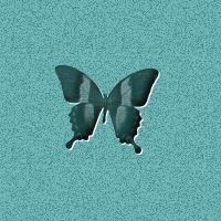 butterfly5.jpg (11461 bytes)