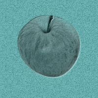apple.jpg (10471 bytes)