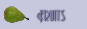 bannerfruits.jpg (6086 bytes)