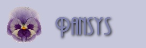 bannerpansys.jpg (7512 bytes)